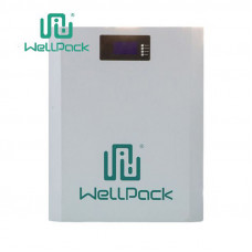 Домашняя настенная система хранения энергии WPH05W-01
